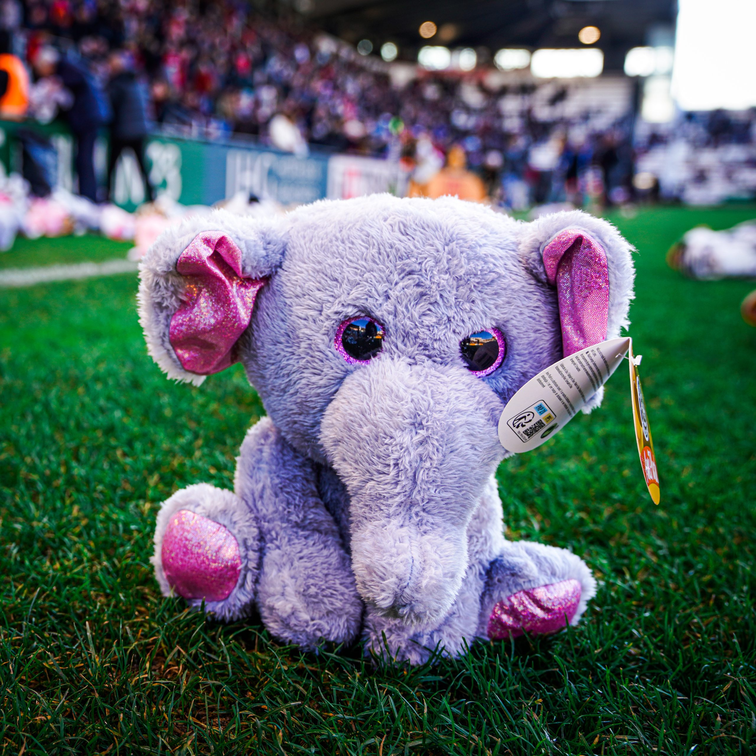 Toulon – Bath : solidarité en Rouge et Noir ce dimanche au Stade Mayol