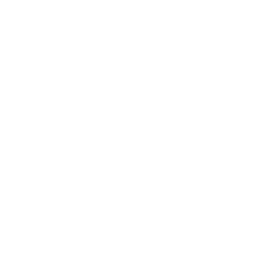 256_1628254076_team_interim_footer_256x2
